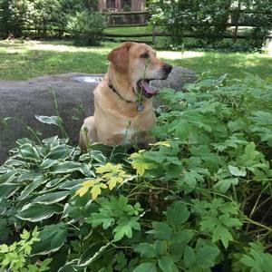 Meet your Posher, Steph